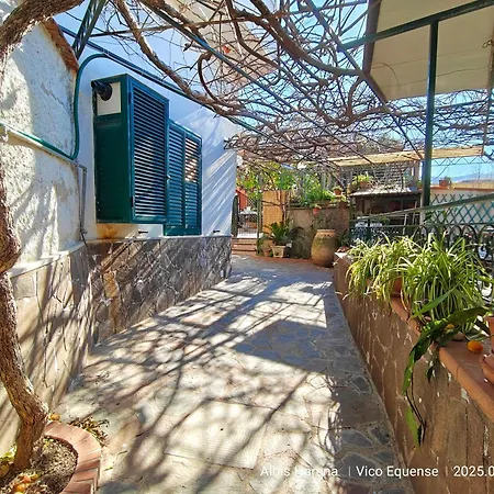 Manu 비코에쿠엔세