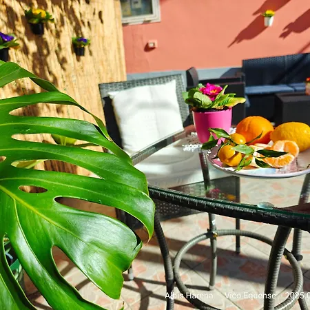 아파트 Manu 비코에쿠엔세