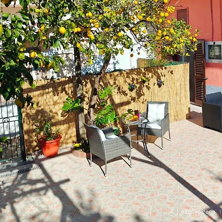 Apartment Manu